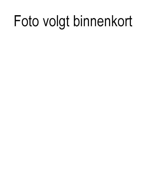 Kinjer Optoch Kommitee Broenssem 2023 Kenji